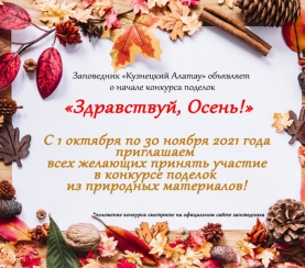 В заповеднике «Кузнецкий Алатау» стартует конкурс поделок «Здравствуй, Осень!»