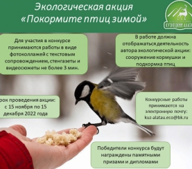 12 ноября в России отмечается экологический праздник - Синичкин день