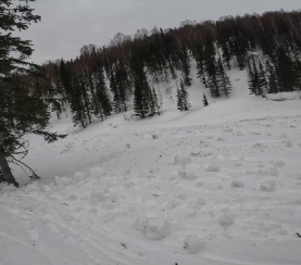 Снежные рулоны в заповеднике «Кузнецкий Алатау»