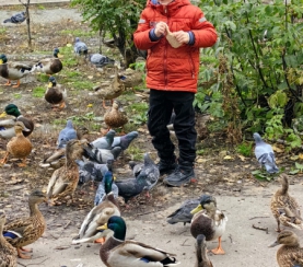 Итоги Всероссийской экологической акции «Поможем птицам зимой»