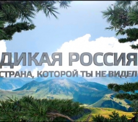 На телеканале «Живая планета» стартовал цикл документальных фильмов Минприроды России о заповедниках