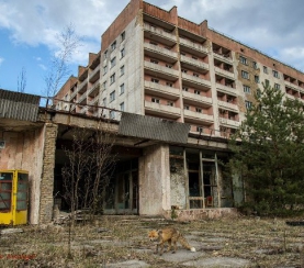 31 год Чернобыльской катастрофе
