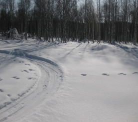 В «Кузнецком Алатау» подведены итоги зимних маршрутных учетов