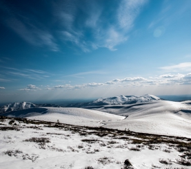 Зима вступает в свои права: что меняется в жизни обитателей «Кузнецкого Алатау»