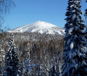 Зима вступает в свои права: что меняется в жизни обитателей «Кузнецкого Алатау»