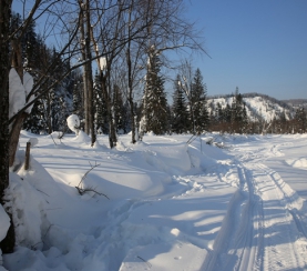 В «Кузнецком Алатау» прошли зимние маршрутные учеты