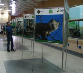 В Новосибирске открылась фотовыставка «Тропой «Кузнецкого Алатау»»
