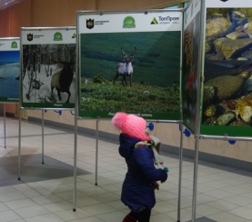 В Новосибирске открылась фотовыставка «Тропой «Кузнецкого Алатау»»