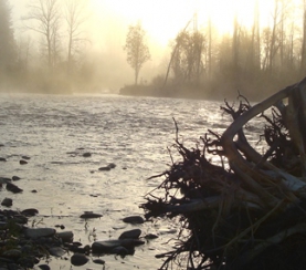 14 марта – Международный день рек и День борьбы против плотин