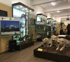 В Кемеровском краеведческом музее открылась фотовыставка «Тропой «Кузнецкого Алатау»
