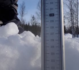 В заповеднике «Кузнецкий Алатау» подвели итоги камеральных исследований по снегомерным работам