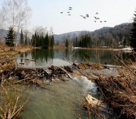Стартовали единые дни действий в защиту малых рек и водоемов