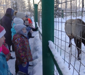 Как зимуют животные в экоцентре заповедника «Кузнецкий Алатау»? 